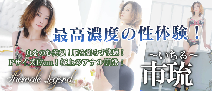 【市琉（いちる）】ちゃん入店！横浜関内店でございます！
