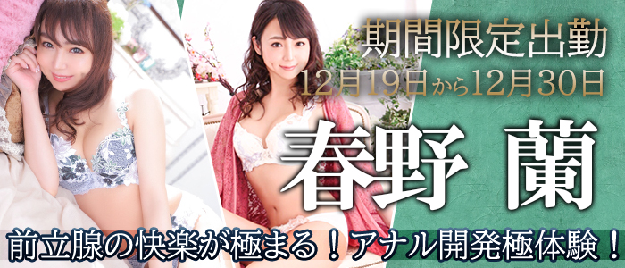 春野蘭　12/19-12-30